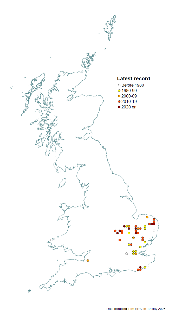 Distribution map for Anasimyia interpuncta