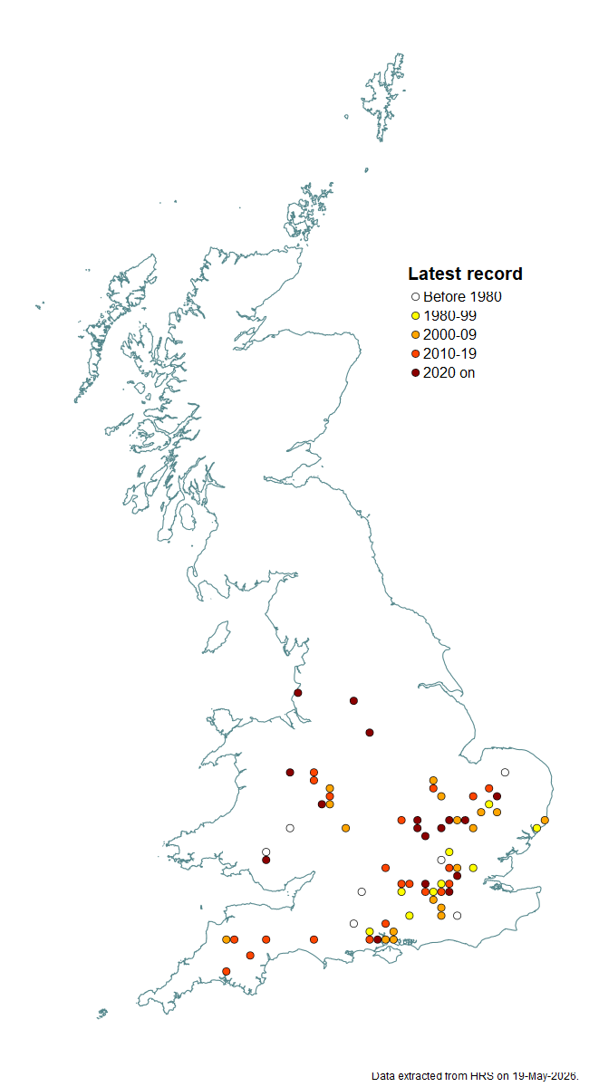 Distribution map for Brachyopa bicolor
