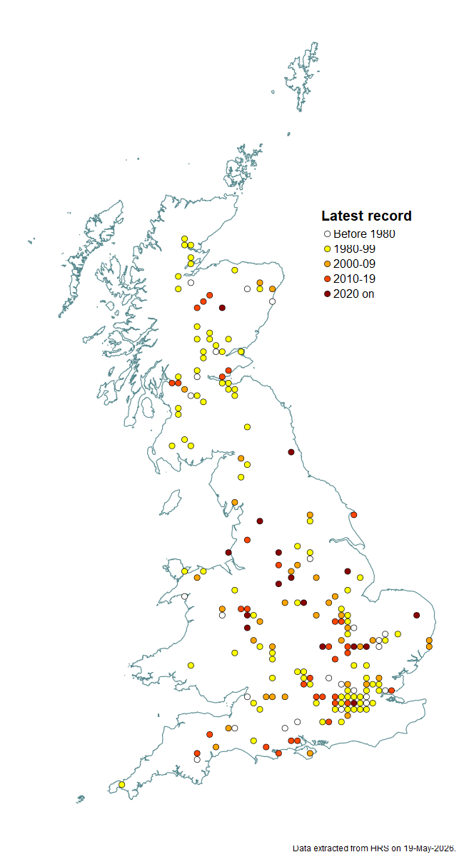 Distribution map for Brachyopa insensilis