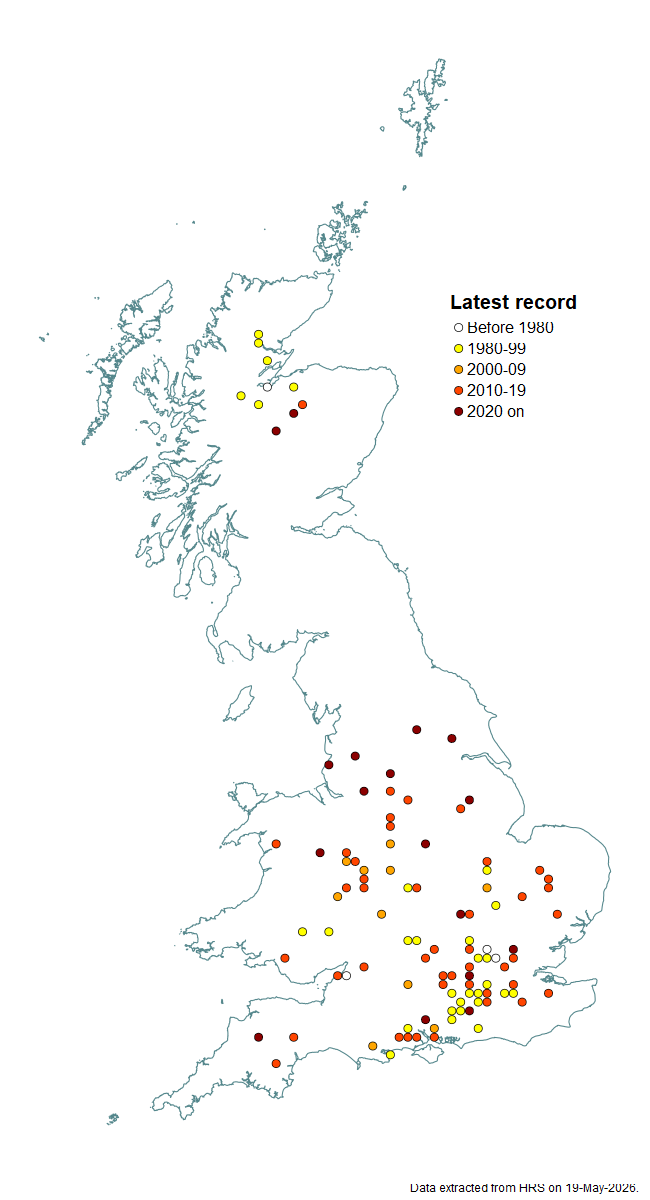 Distribution map for Brachyopa pilosa