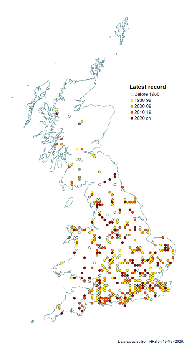 Distribution map for Brachyopa scutellaris