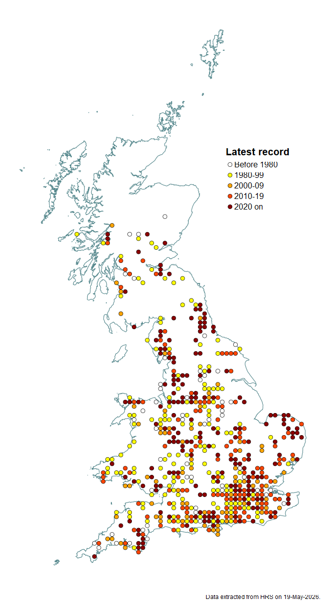 Distribution map for Brachypalpoides lentus