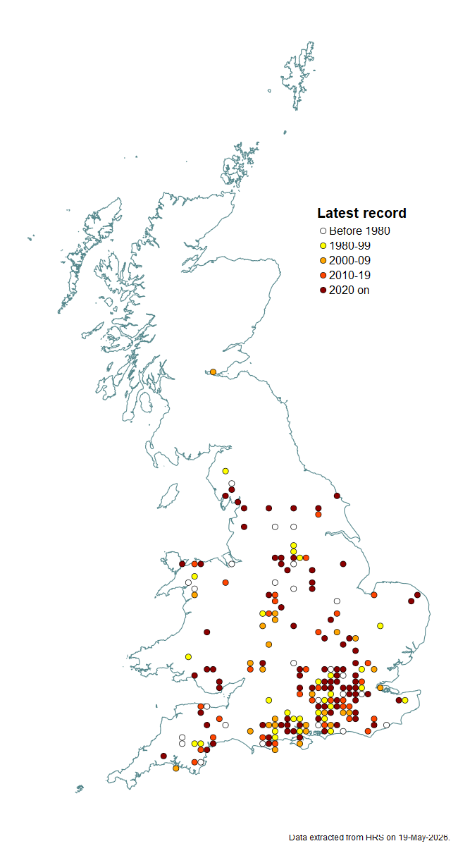 Distribution map for Callicera aurata