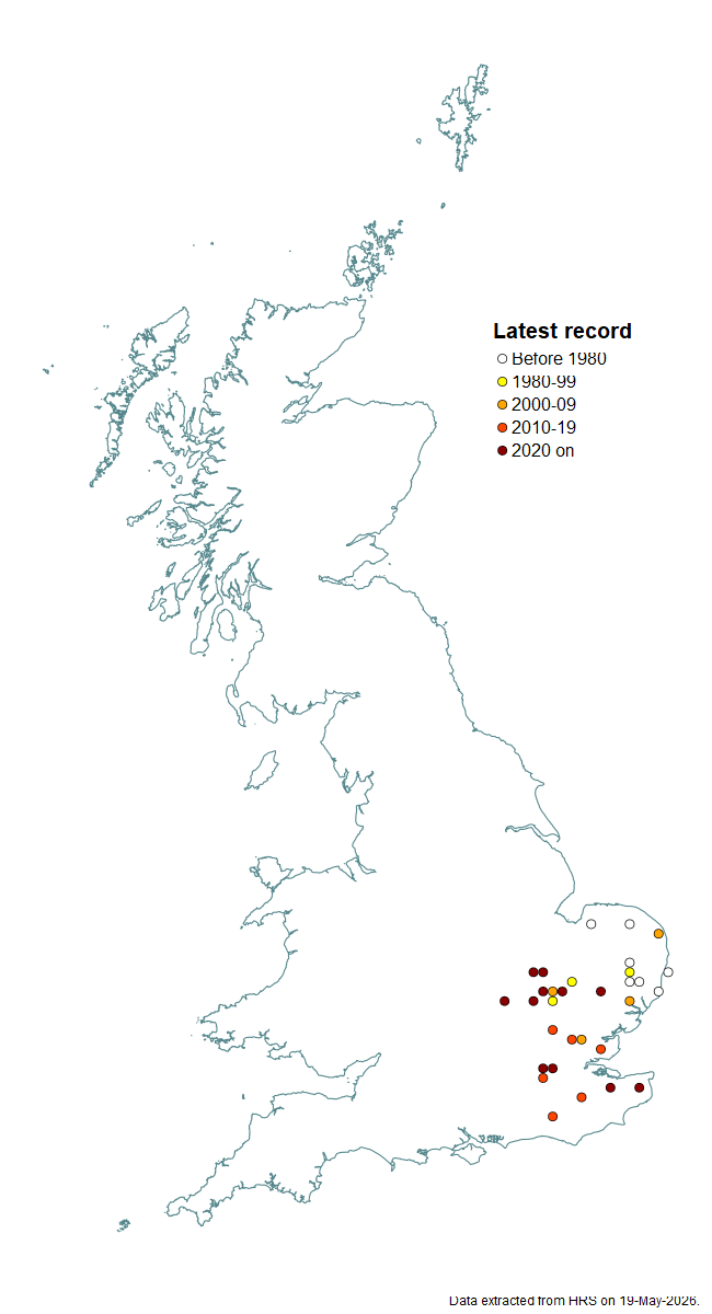 Distribution map for Callicera spinolae