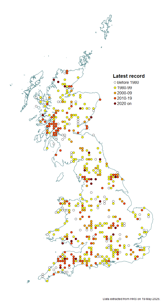 Distribution map for Cheilosia antiqua