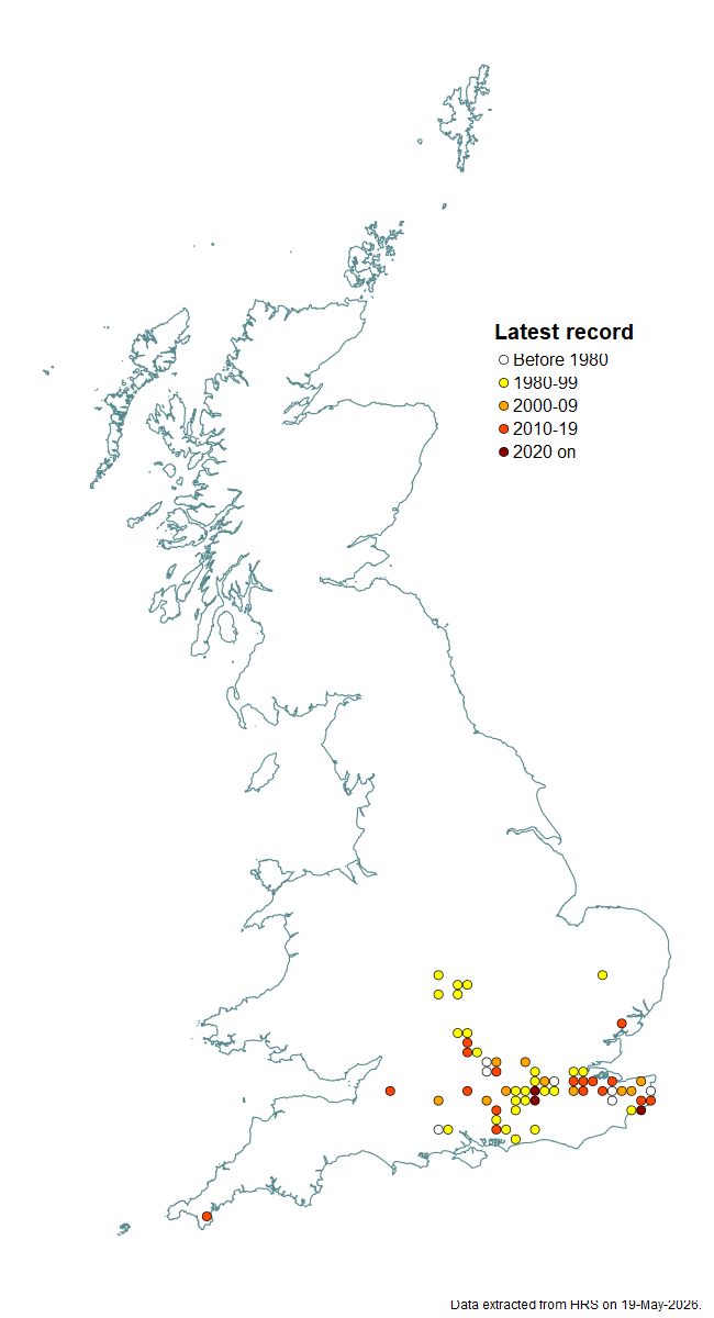 Distribution map for Cheilosia barbata