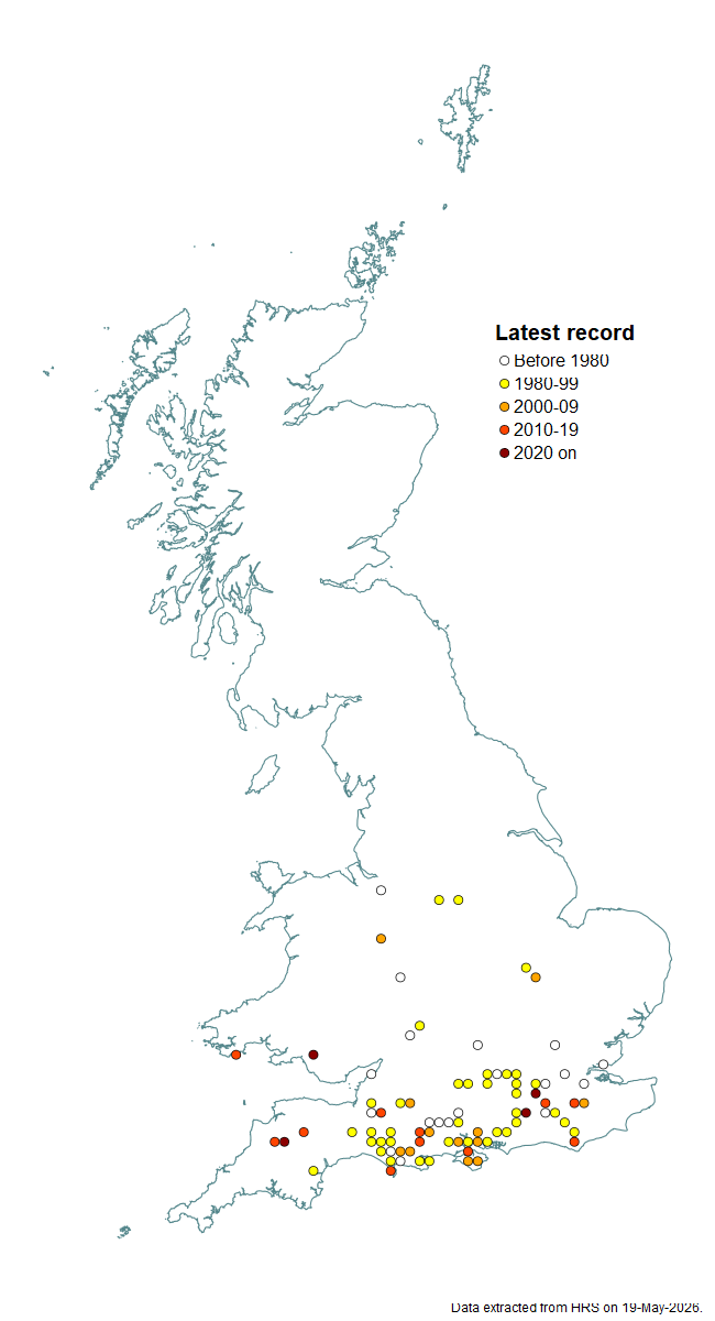 Distribution map for Cheilosia carbonaria