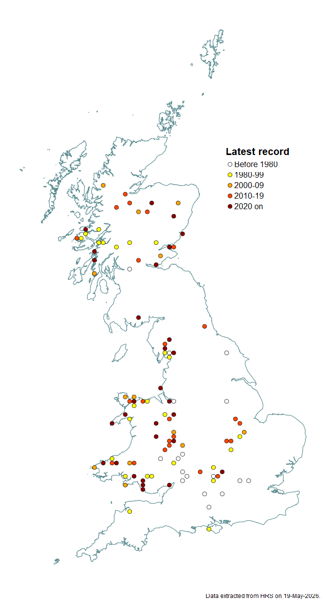 Distribution map for Cheilosia chrysocoma