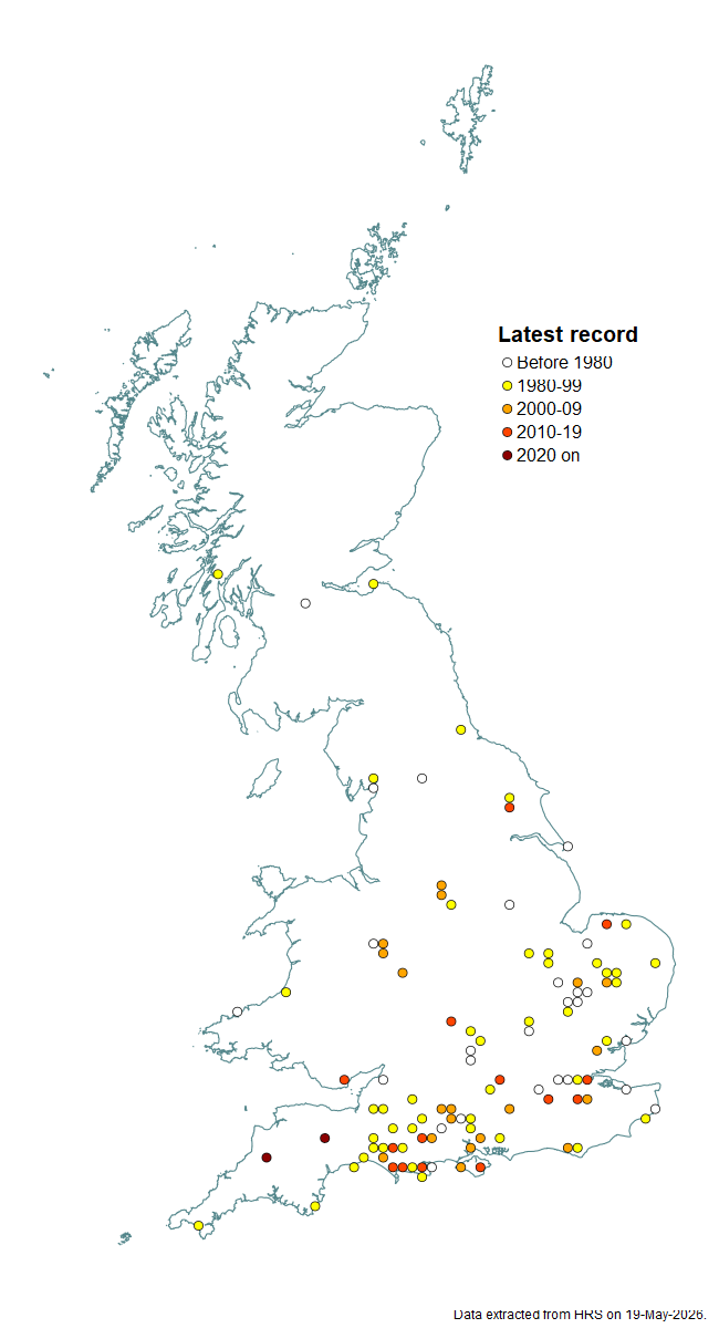 Distribution map for Cheilosia cynocephala