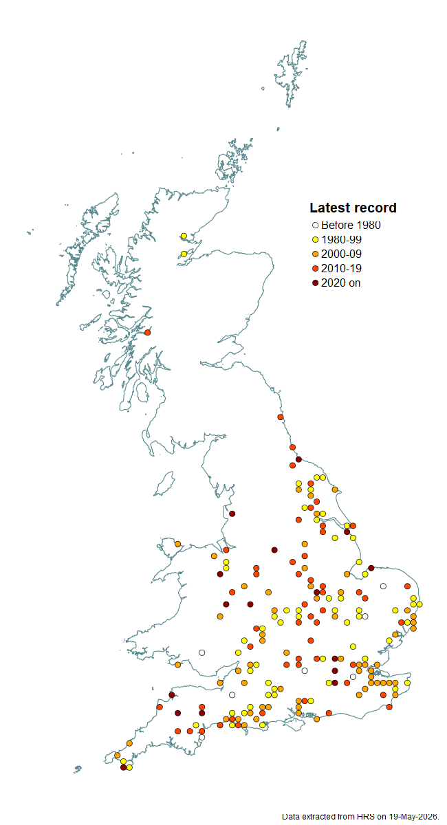 Distribution map for Cheilosia griseiventris
