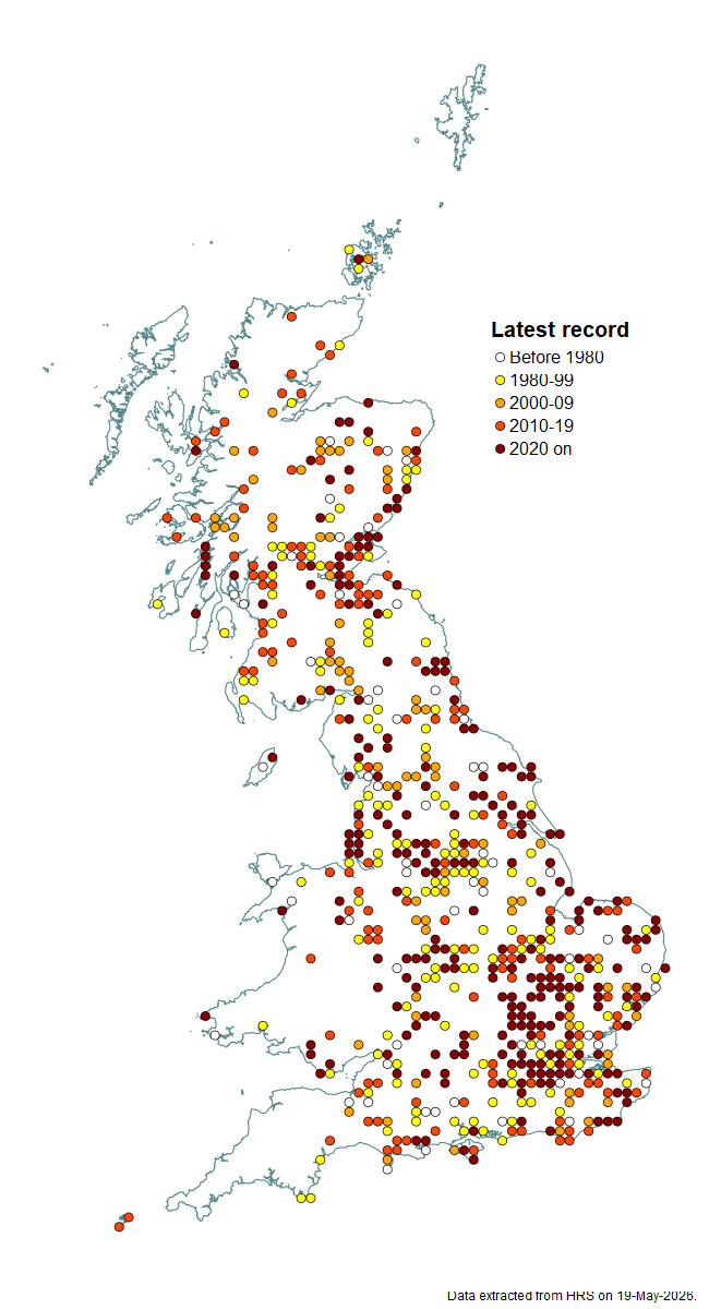 Distribution map for Cheilosia grossa