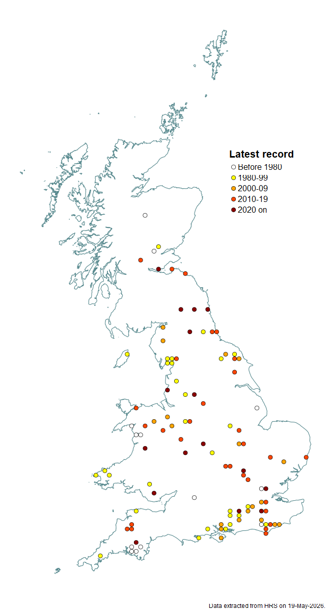 Distribution map for Cheilosia nebulosa