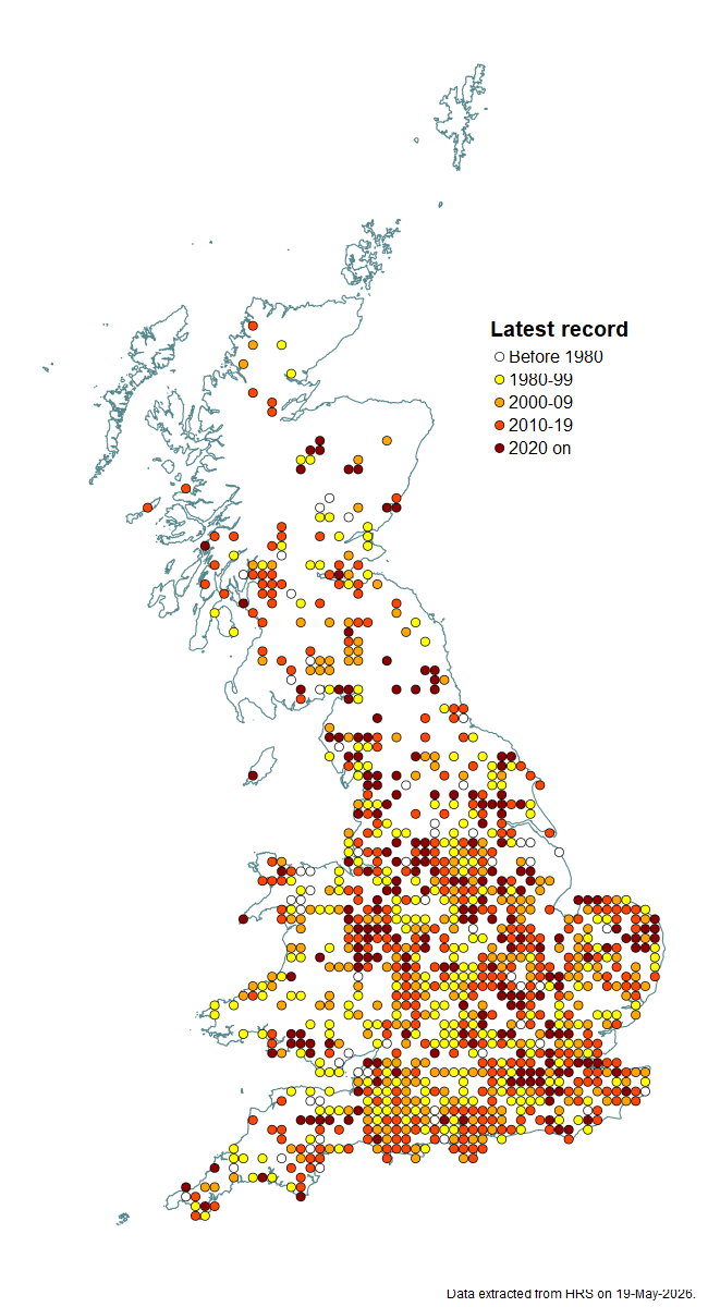 Distribution map for Cheilosia proxima