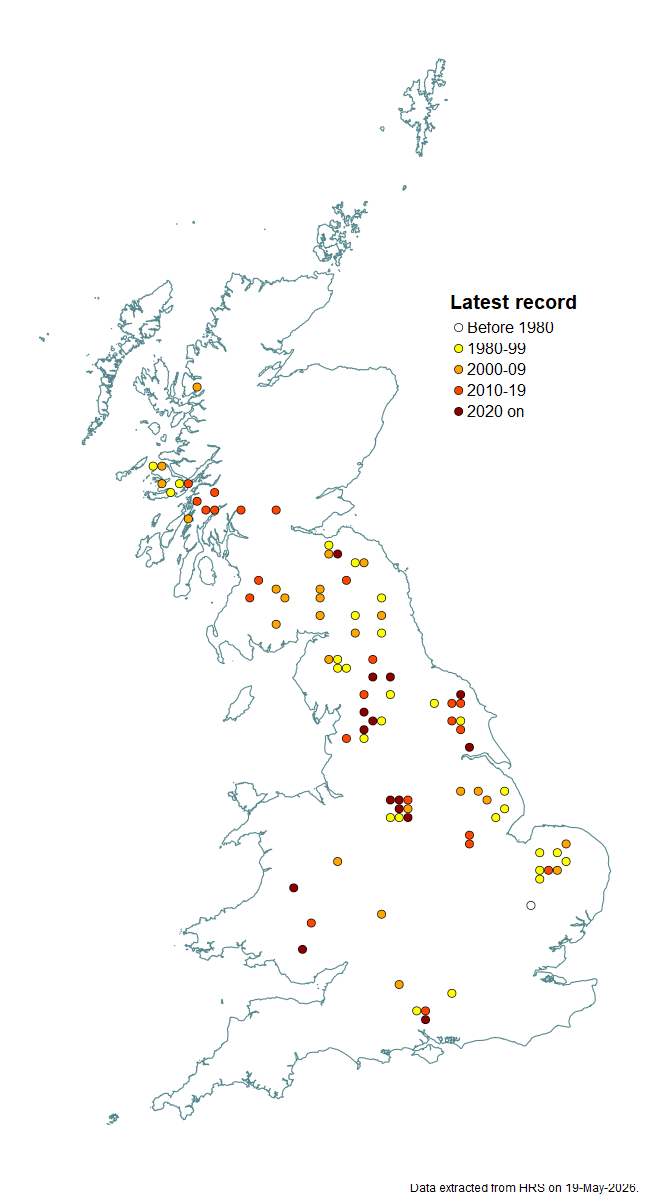 Distribution map for Cheilosia pubera