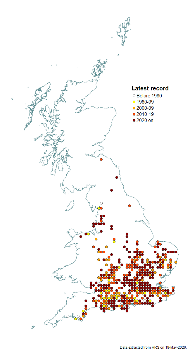 Distribution map for Cheilosia soror