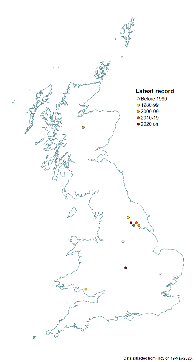 Distribution map for Cheilosia uviformis