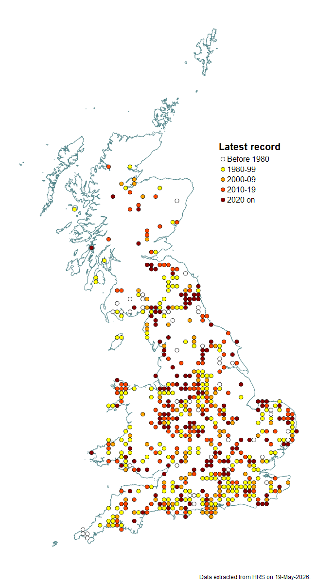 Distribution map for Chrysogaster cemiteriorum