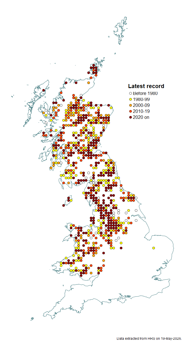 Distribution map for Chrysotoxum arcuatum