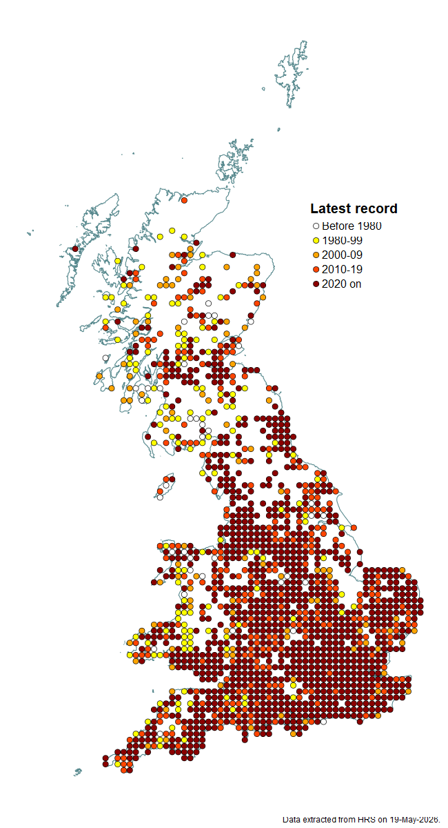 Distribution map for Chrysotoxum bicinctum