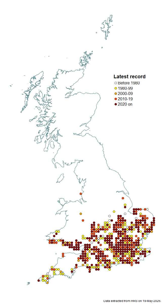 Distribution map for Chrysotoxum cautum