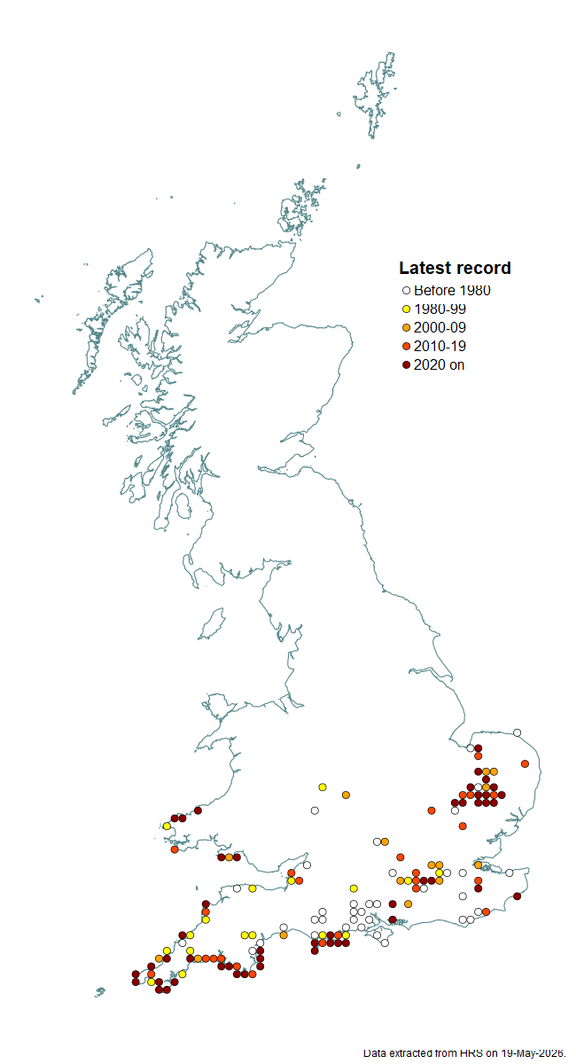 Distribution map for Chrysotoxum elegans