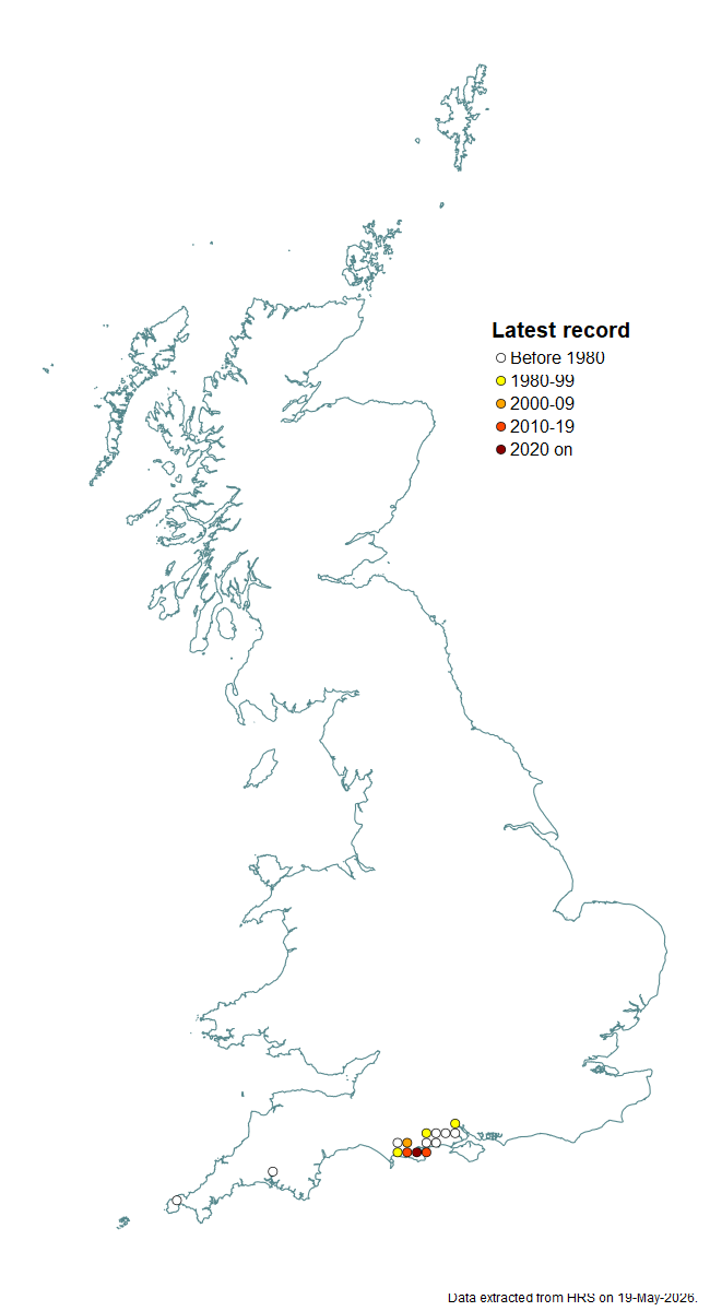 Distribution map for Chrysotoxum vernale