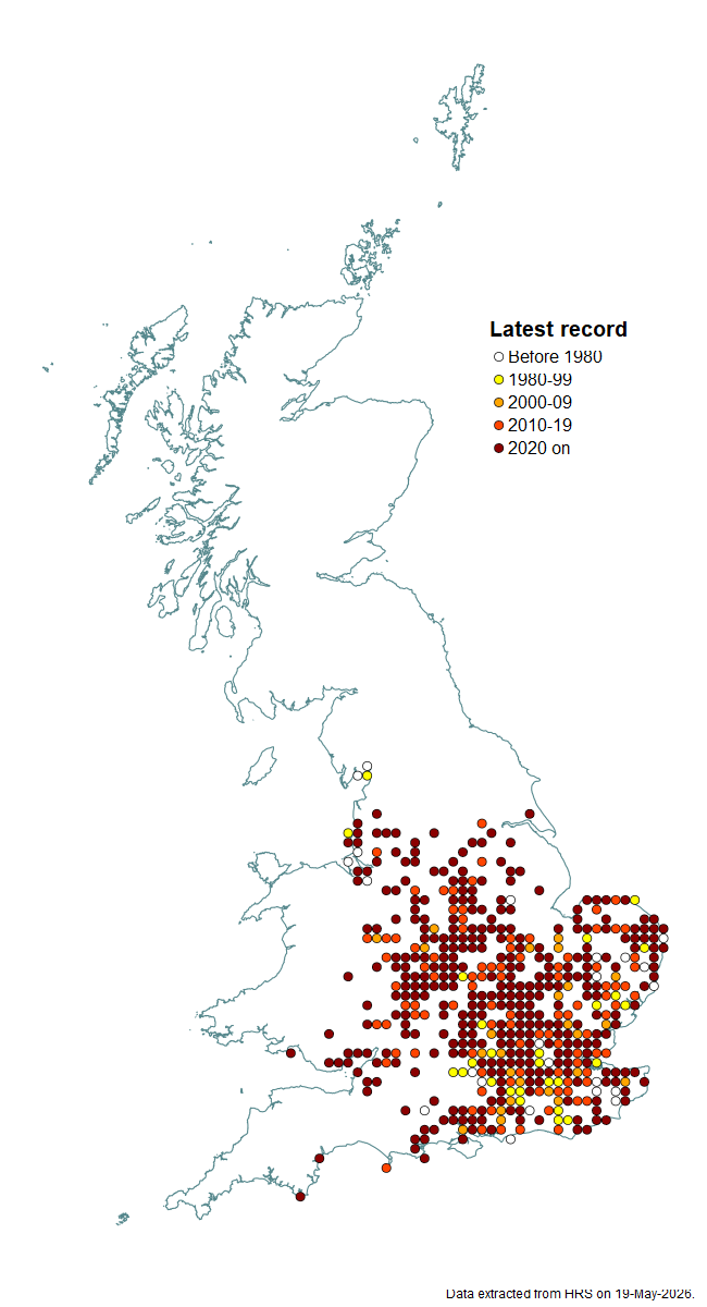 Distribution map for Chrysotoxum verralli