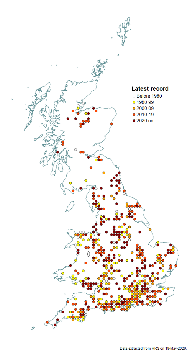 Distribution map for Criorhina ranunculi