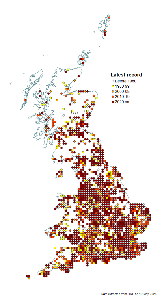 Distribution map for Dasysyrphus albostriatus