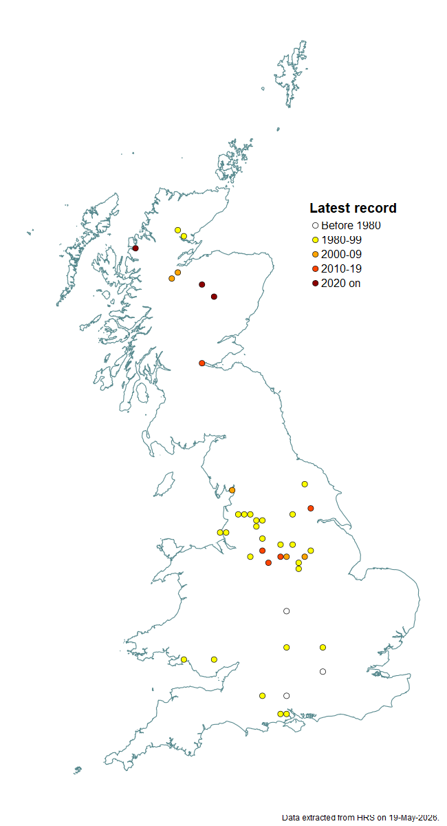 Distribution map for Dasysyrphus hilaris