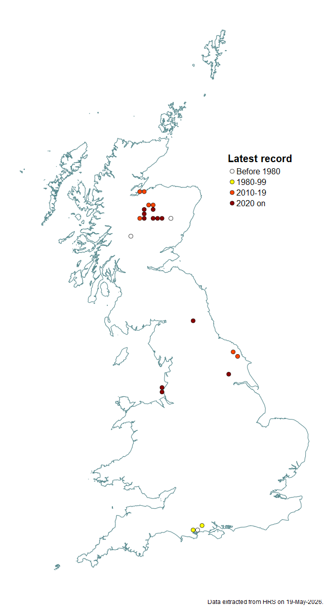Distribution map for Dasysyrphus neovenustus