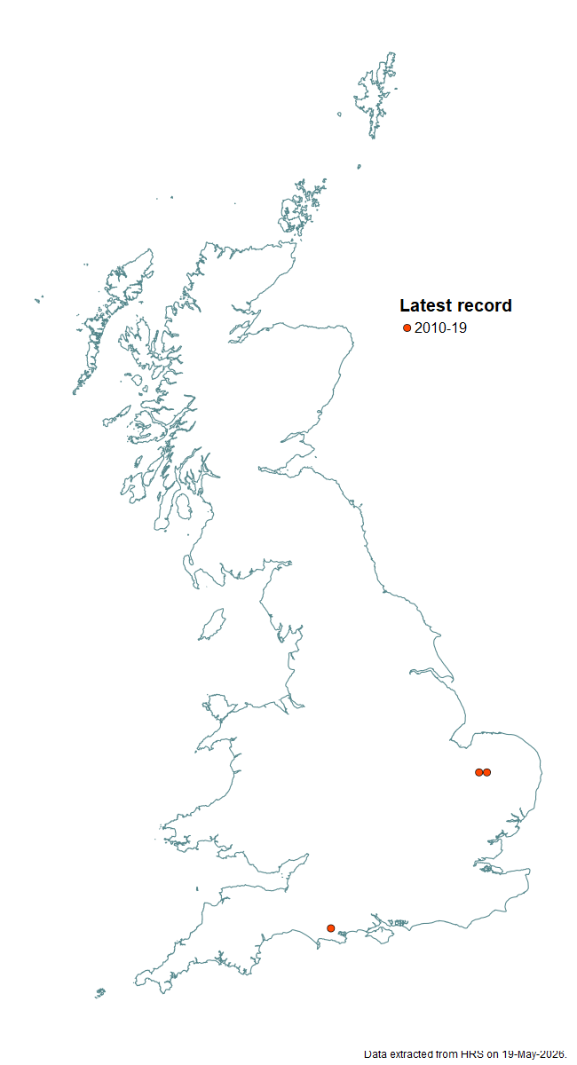 Distribution map for Dasysyrphus pauxillus