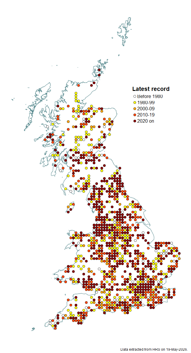 Distribution map for Dasysyrphus tricinctus