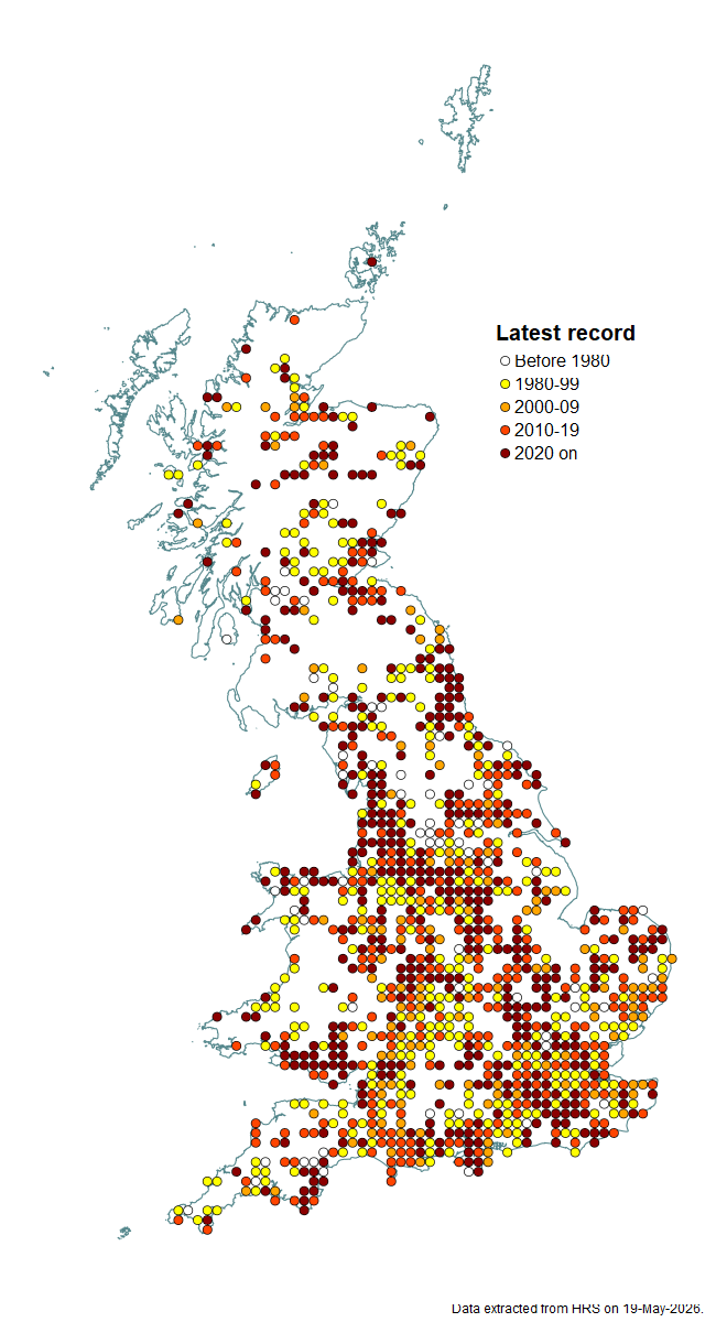 Distribution map for Dasysyrphus venustus