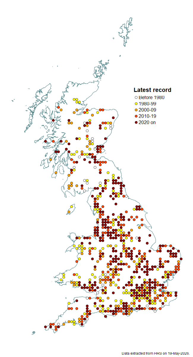 Distribution map for Didea fasciata
