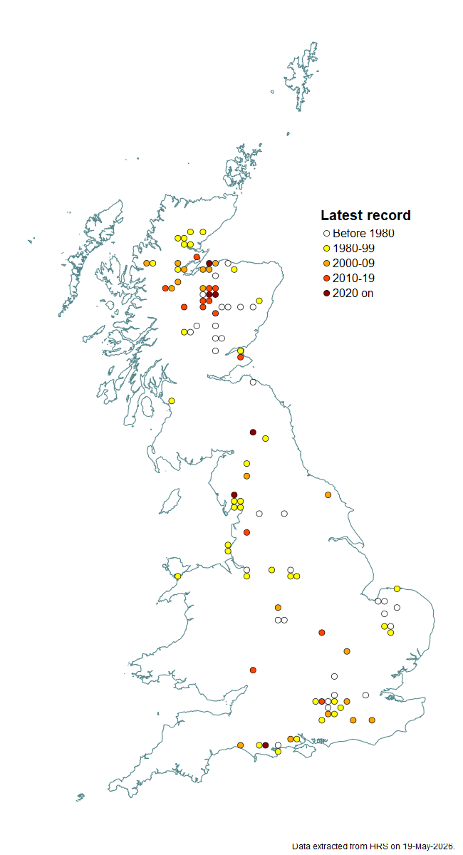 Distribution map for Didea intermedia
