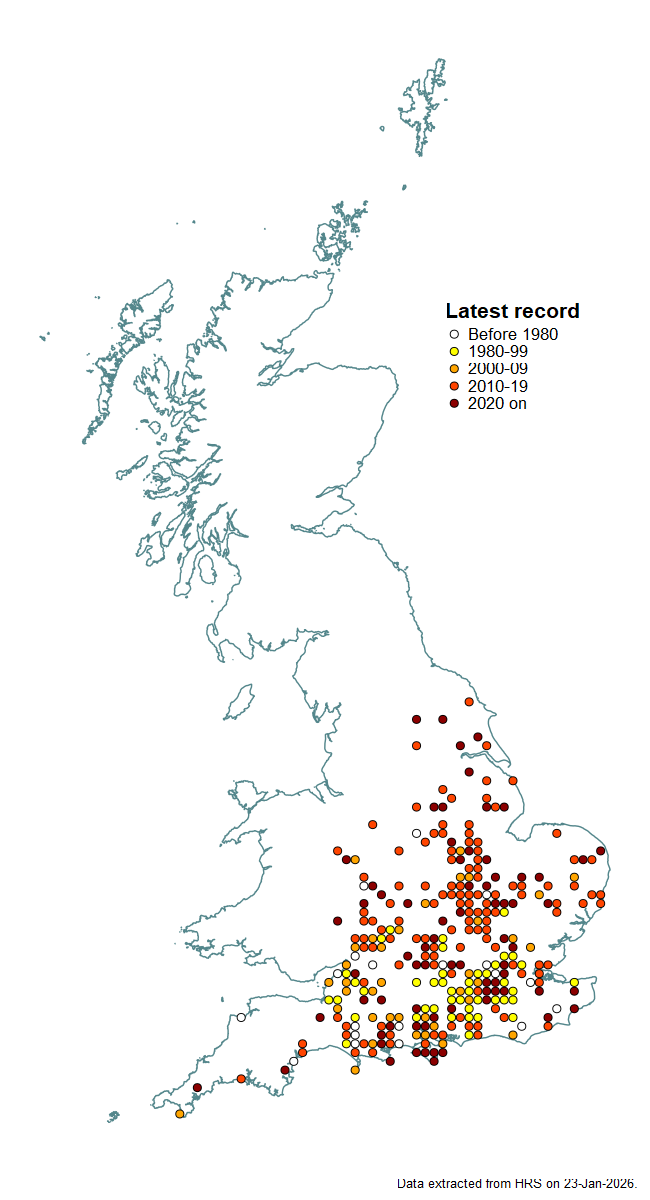 Distribution map for Epistrophe diaphana