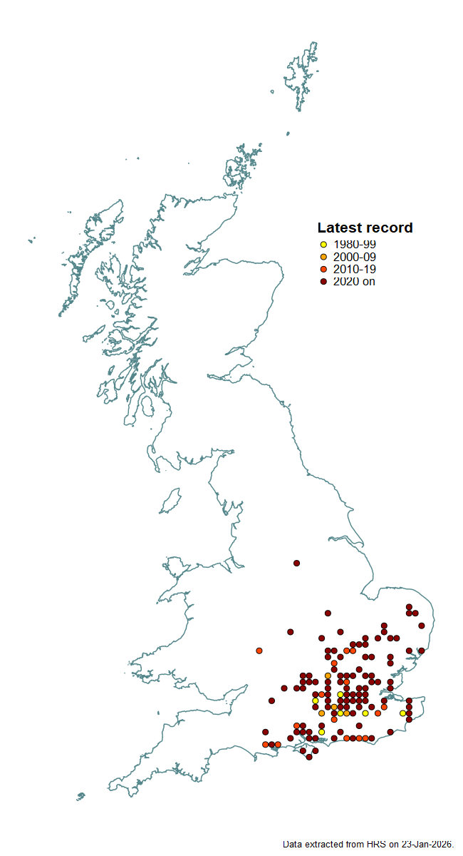 Distribution map for Epistrophe melanostoma