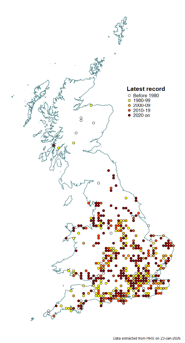 Distribution map for Epistrophe nitidicollis