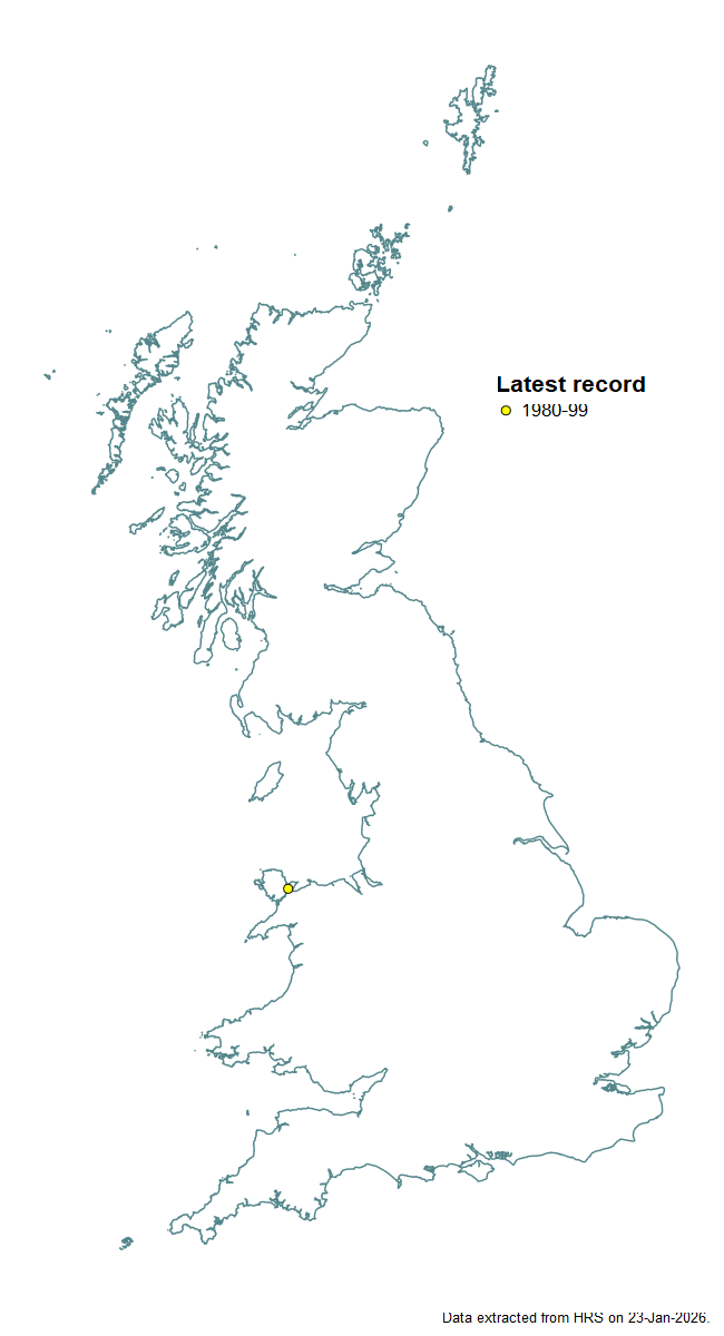 Distribution map for Epistrophe ochrostoma