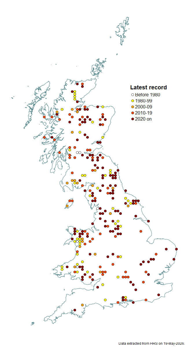 Distribution map for Eriozona syrphoides