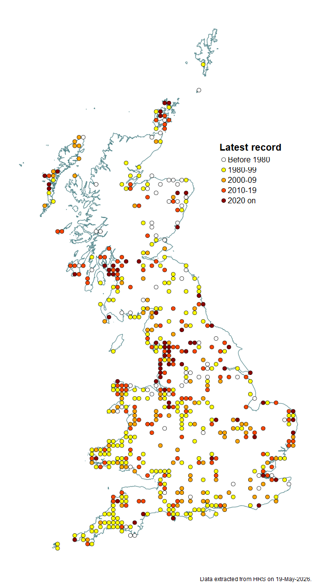 Distribution map for Eristalis abusiva