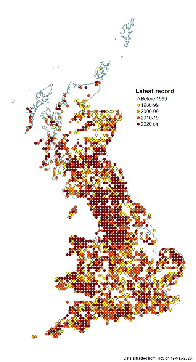 Distribution map for Eristalis horticola