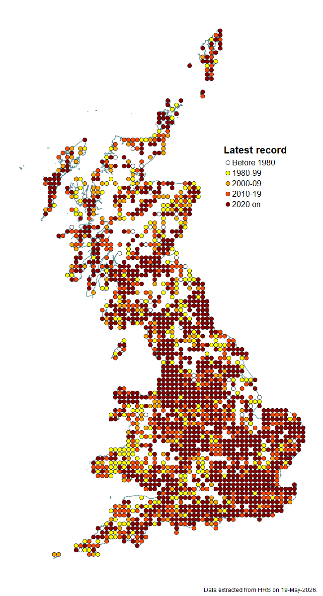 Distribution map for Eristalis intricaria