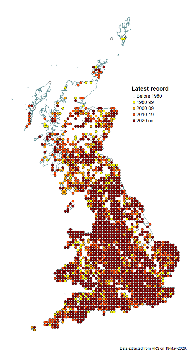 Distribution map for Eristalis nemorum