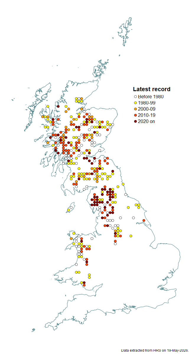 Distribution map for Eristalis rupium