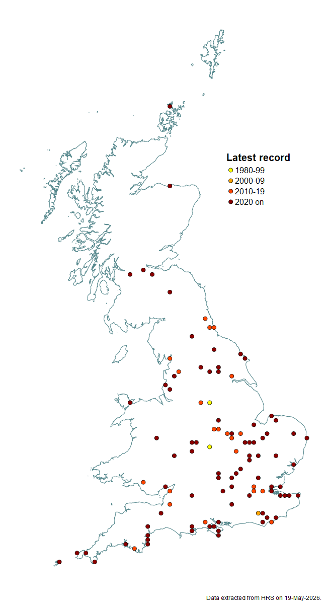Distribution map for Eristalis similis