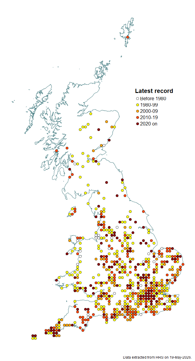 Distribution map for Eumerus funeralis
