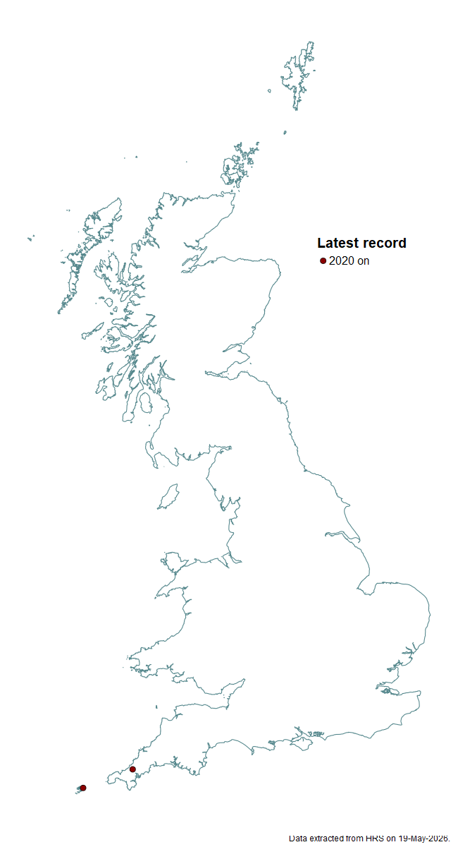Distribution map for Eumerus narcissi