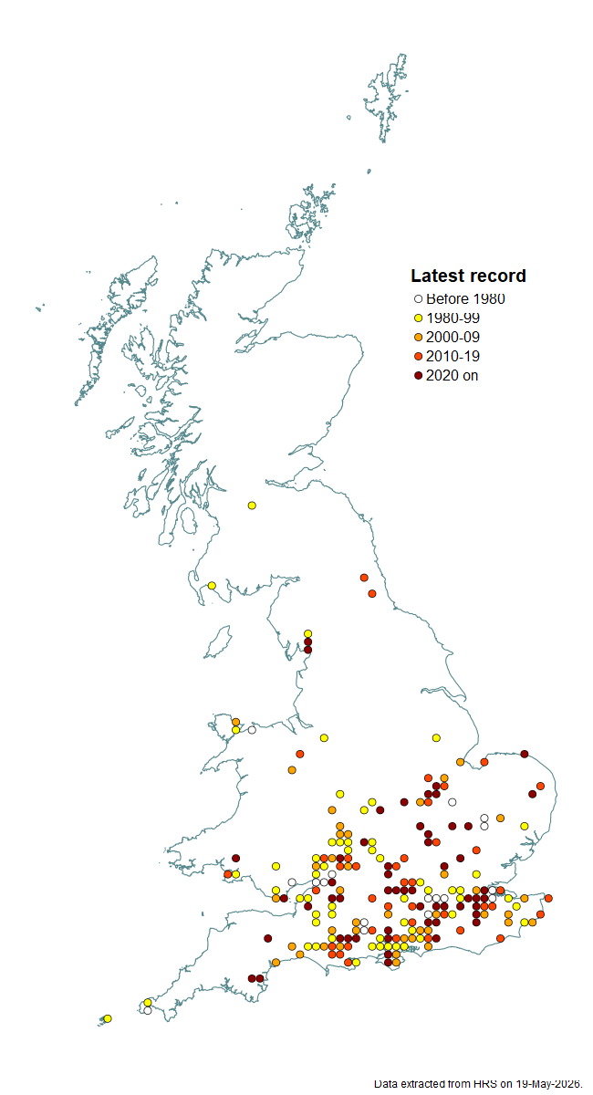 Distribution map for Eumerus ornatus